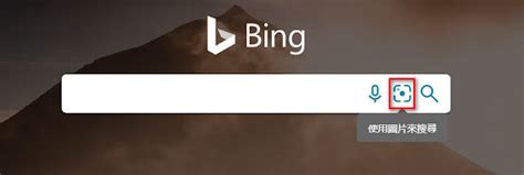 Bing搜图 的图像结果