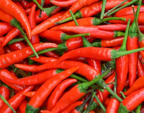 Cayenne pepper : good neighbours in the vegetable garden