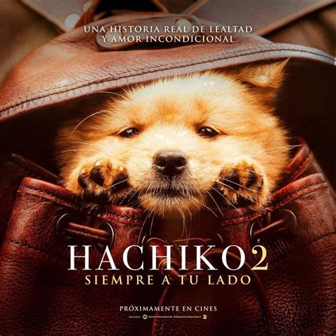 Crítica: Hachiko 2: Siempre a tu lado | La Butaca Web