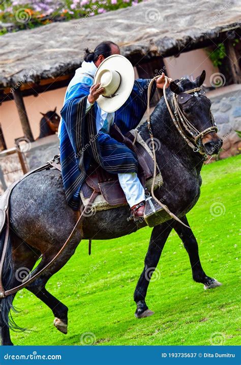 Paso Peruvian Horse-Wayra Urubamba - Peru 36 Editorial Photography ...