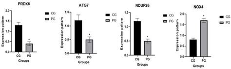 Veterinary Sciences | Special Issue : Animal Clinical Pathology: Focus ...