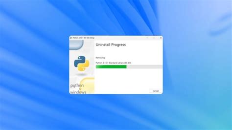 Image result for How to Remove Python From Windows 11
