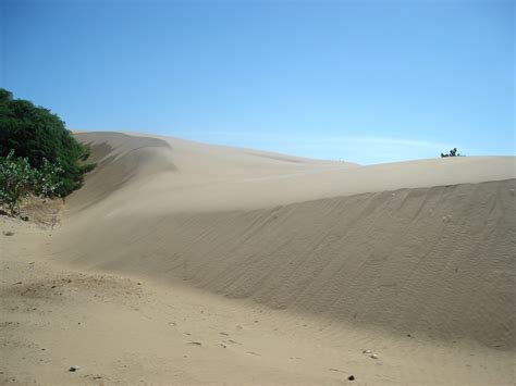 Médanos de Coro – SVDB