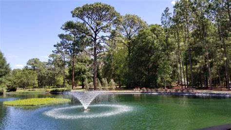 Sholom Park (Ocala) - 2020 What to Know Before You Go (with Photos ...