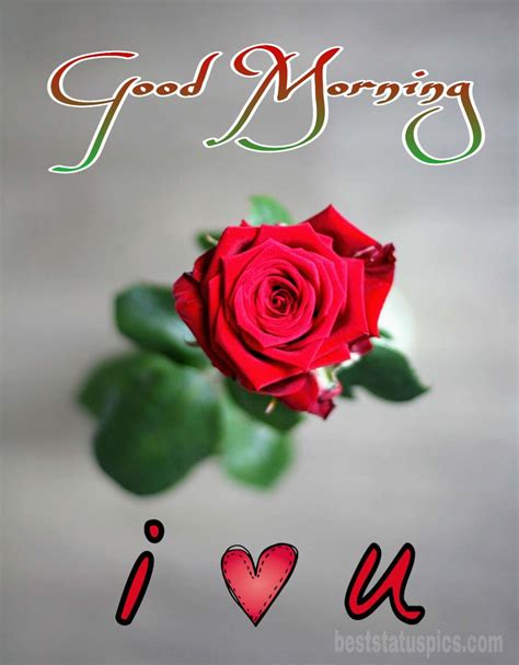 Incredible Compilation of Love Morning Images in Full 4K: Over 999 ...