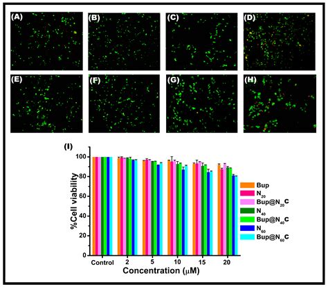 Niosomal Bupropion: Exploring Therapeutic Frontiers through Behavioral ...