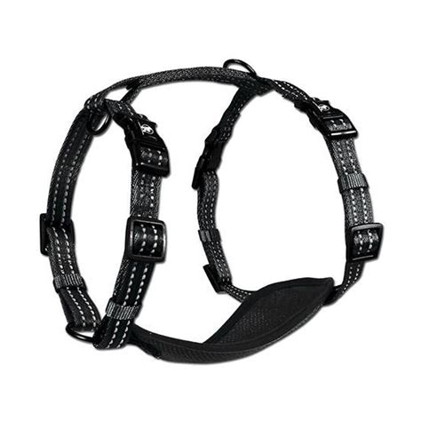 Alcott - Arnés para Perros Adventure (Negro) | Bodega Aurrera en línea