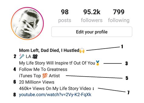 20+ Best instagram bios with emojis