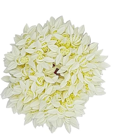 Sanjog White Floral Shape Beads Scrunchie Gajra hair Accessory for ...