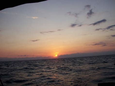 Jacksailing (Dunedin) - 2022 What to Know Before You Go (with Photos ...