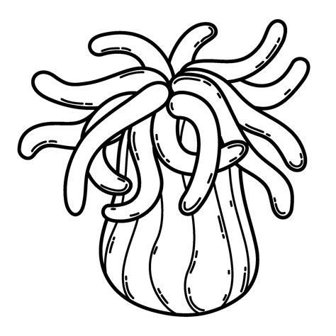 Sea Anemone Drawing Simple