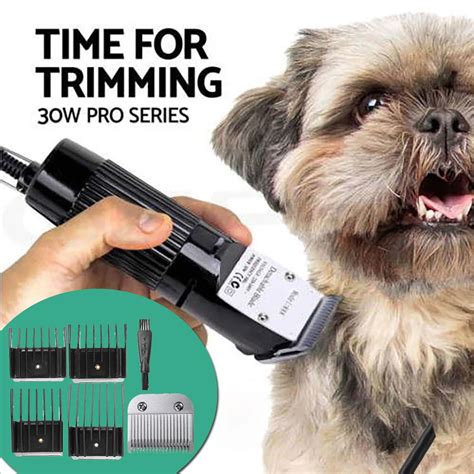 Small Dog Hair Trimmer at Luca Waldock blog