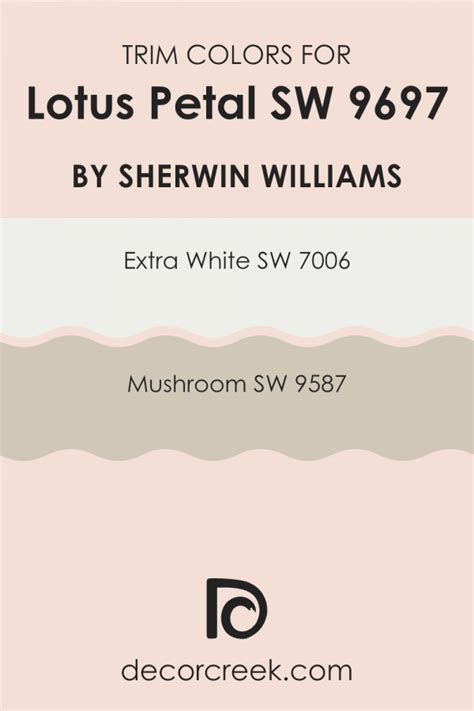 Image result for Launch Color Code