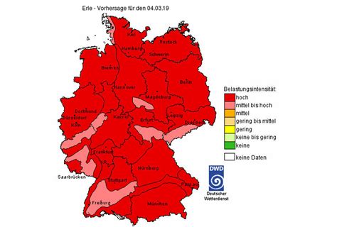 Heuschnupfen-Alarm: Pollenflug auf Rekordniveau | agrarheute.com