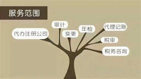 变更公司法定代表人的方式流程，广州白云区如何更改公司法定代表人_企业法人
