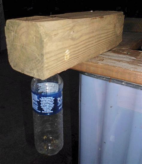 Getting Rid of Carpenter Bees | ThriftyFun