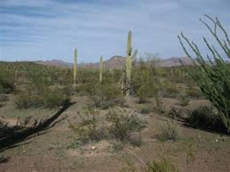 Sonoita Tourism (2026) Mexico - Best Places to Visit in Sonoita ...