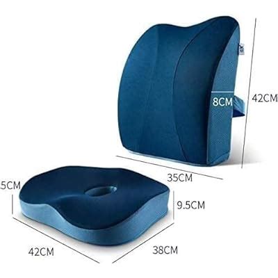 Buy GIENEX Memory Foam Seat Cushion & Back, Lumbar Support Pillow ...