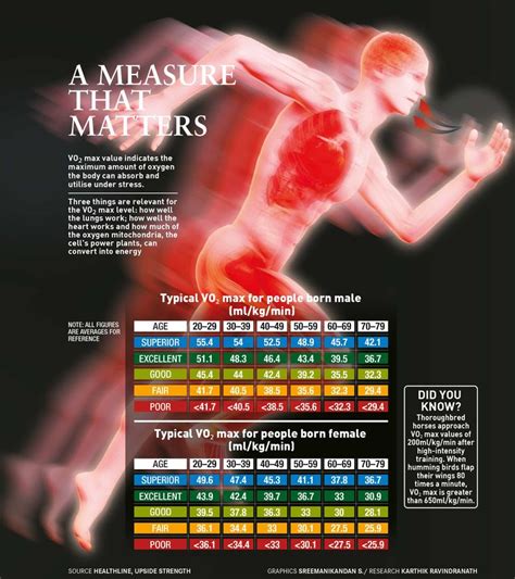 Why VO2 max is the best way to measure fitness and predict life ...