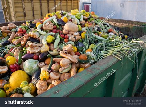 Food Waste 的图像结果