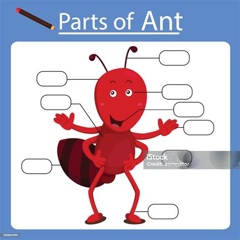 Illustrator Of Parts Of Ant Stock Illustration - Download Image Now ...