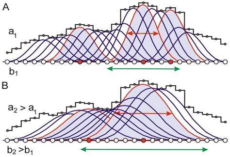 Entropy Analysis of Protein Sequences Reveals a Hierarchical Organization