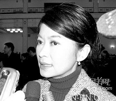 台湾美女主播卢秀芳：不适合给总理打分(图)-搜狐新闻