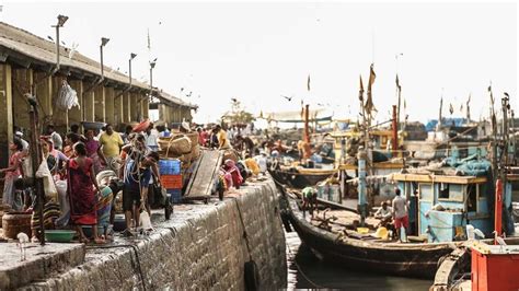 A morning at Sassoon Docks | Condé Nast Traveller India