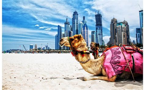 迪拜旅游宣传推广海报_图品汇
