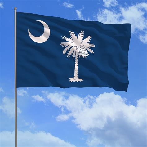 Carolina South Flag
