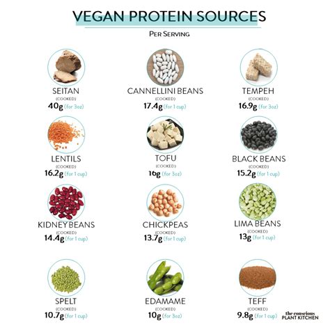 Complete Vegetable Proteins