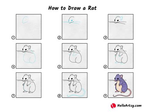 Simple Rat Drawing Step By Step
