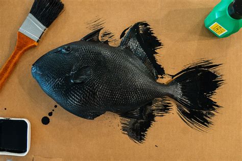 Gyotaku Fish Printing Kit – Iko Prints