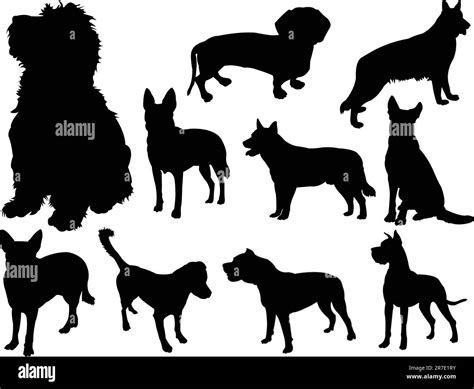 illustration of dog collection - vector Stock Vector Image & Art - Alamy