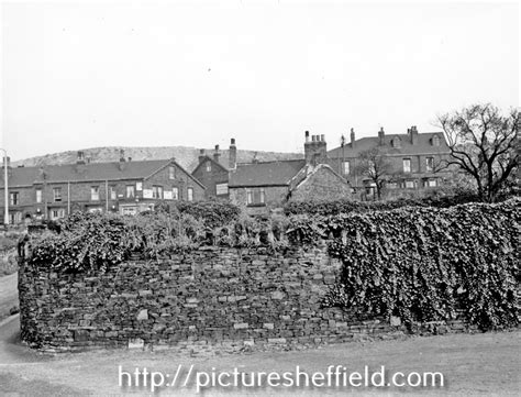 Searching Picture Sheffield