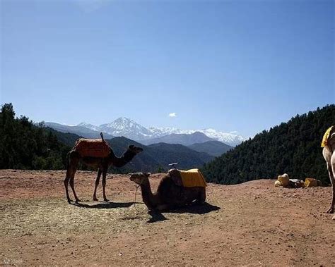 Ourika Valley and Atlas Mountains Full Day Tour with Lunch - Klook India