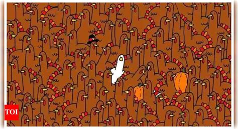 Optical illusion: Only those with sharp vision can spot the hidden ...
