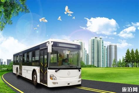 2020银川公交什么时候恢复和乘坐要求-牡丹旅游网