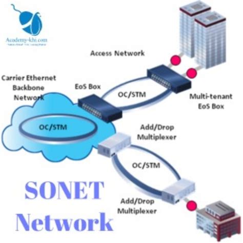 Sonet in Networking Explained 的图像结果