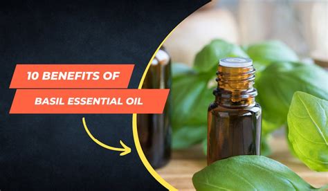10 Benefits of Basil Essential Oil – Jain Super Store