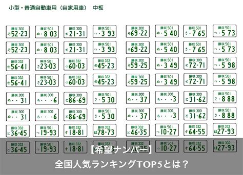 Image result for Racket Coding Language
