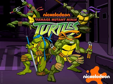 Prime Video: Teenage Mutant Ninja Turtles (2003) - Season 3