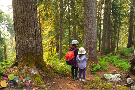Nature Kids 的图像结果