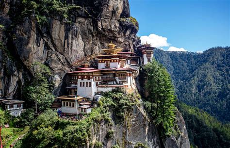 Image result for Bhutan Python Coders