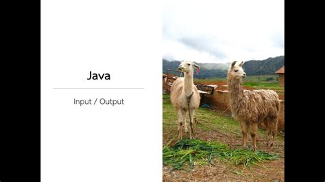 Image result for How to Use Java.io.File
