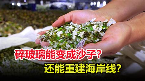 深圳最新通知：深圳居民最低生活保障标准上调啦！事关你的钱袋子，速看