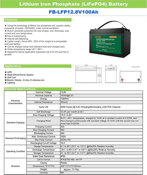 Buy Miady 12V 100Ah Lithium Phosphate Battery, 2000+ Cycles LiFePO4 ...