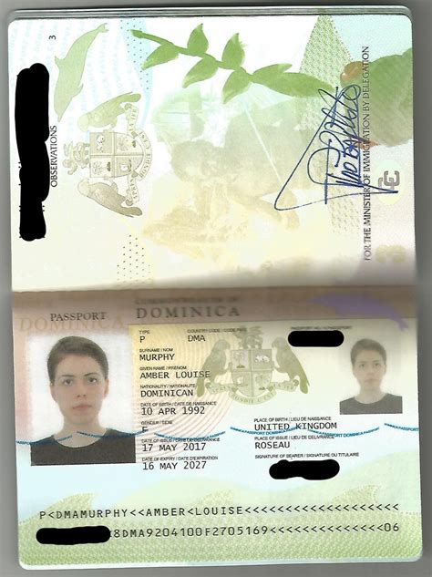 Amber Louise Murphy: An Infamous International Fraudster Accused of Tax Evasion in the UK | by ...