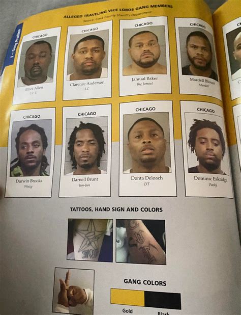 Chicago Gang Book Highlights (Almighty Vice Lord Nation ☪️ ️ 🐇) : r ...