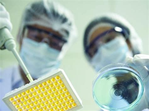 体外诊断 的图像结果